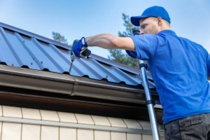 Rise Above: How Professional Roofing Services Can Transform Your Home