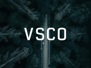 VSCO Search