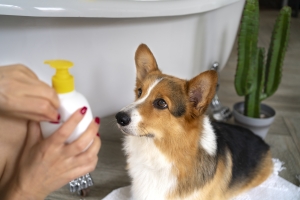 Pet Odor Neutralizer Spray