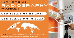 Industrial Radiography Market Report: Key Trends and Insights