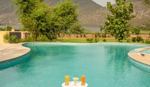 The Top Resort For Nature Lovers In Sariska Tiger Reserve: Ratan Villas