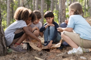 From Classroom to Nature: WildChina Education's Innovative Science Field Trips