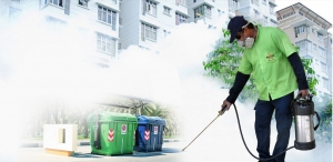 Effective Pest Control in Lahore and Pest Control Services Lahore