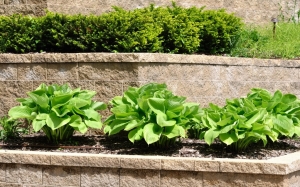 The Ultimate Guide to Retaining Wall Services: Gardner Landscape & Design's Unique Experience and How it Stands Out from the Competition