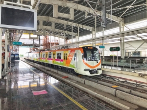 Metro Rail Infrastructure Market To Witness the Highest Growth Globally