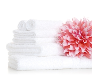 Top Trends in the Towel Industry: Insights from Leading Bulk Towels Suppliers
