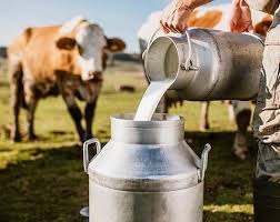 The India Dairy Market Trends and Strategic Analysis 2032