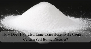 How Does Hydrated Lime Contribute to the Control of Certain Soil-Borne Diseases?