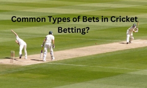 What Are the Common Types of Bets in Cricket Betting ?