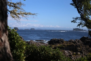 Ucluelet’s Hidden Gems: Cozy Cabins for Your Next Getaway!
