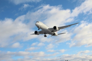 Brussels Airlines BER Terminal