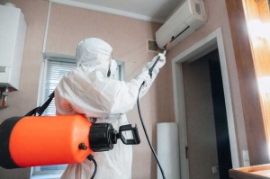 Công ty dịch vụ diệt chuột tại Đà Nẵng PESTCONTROLVN