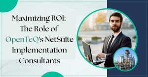 Streamlining Business Success with OpenTeQ’s NetSuite Implementation Consultant