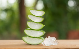 The Versatility of Aloe Vera: From Skincare to Digestive Health