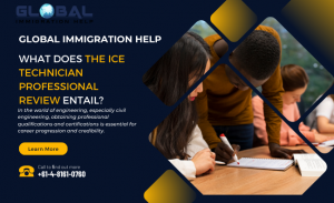 What Does the ICE Technician Professional Review Entail?