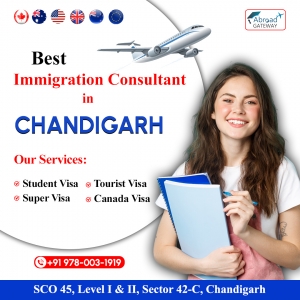 Which are the best Immigration Consultants in Chandigarh?