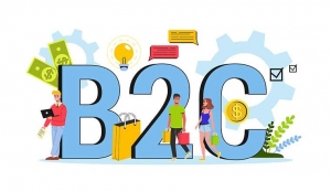 B2C SEO Services: Driving Traffic and Sales for Your Business