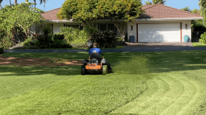 What Sustainable Gardening Techniques Work Best in Hawaii?