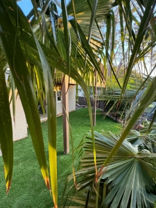 artificial grass installation sydney is good for environment.