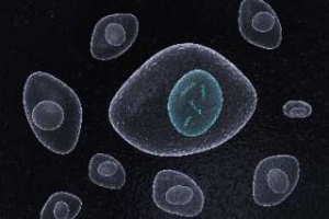 Electrocompetent Cells Market to Exhibit Robust Growth Owing to Rising Use of Gene Cloning Techniques