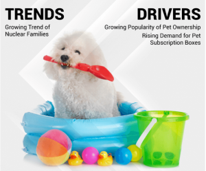 Pet Toys Market Growth, Key Players, Revenue Analysis, and Forecast by 2032