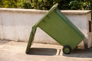 garbage bin cleaning service