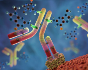 Immunoassay Market Analysis, Size, Share, Trends, Growth and Forecast 2031