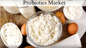 Probiotics Market Size, Trends and Growth Forecast to 2032