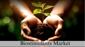 Biostimulants Market Size, Analysis and Growth Through 2032