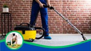 Essential Carpet Cleaning Tips Every Burpengary Homeowner Should Know