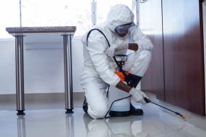 The Importance of Regular Commercial Pest Control Inspections