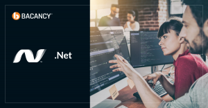 How Much Does it Cost to Hire A Dot Net Developer?