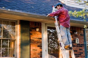 Enhancing Your Home Inspection Experience with Professionalism and Expertise