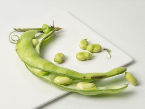 Faba Bean Protein Market Share & Trend, Growth by New Techniques and Opportunities 2032