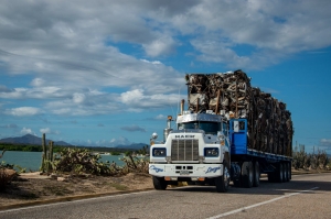 Events That Need a Dumpster Rental