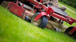 Enhance Your Lawn Care with Aspen 2 Stroke Fuel and 2 Stroke Oil for Lawn Mowers