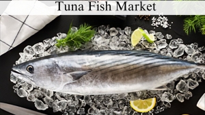 Tuna Fish Market Size, Analysis and Growth Through 2032