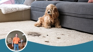 Maintaining Your Carpet Between Professional Cleanings: A Guide for Joondalup Residents