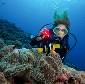 Scuba Diving in Jumeirah Beach: An Unforgettable Adventure with Mayra Tours