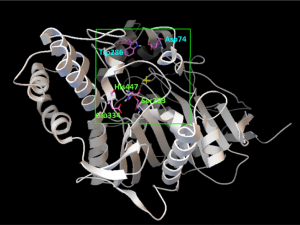 Recombinant Human (EGF): A Promising Therapy for Wound Healing