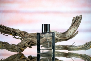 Dive into Freshness: Exploring the World of Aqua Perfumes