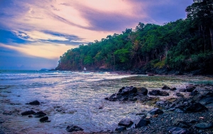 Andaman tour package from Ahmedabad: What to Expect in an Andaman Trip 