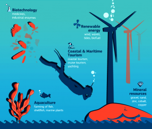Marine Biotechnology: Unlocking New Sources of Innovation from the Ocean