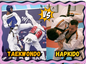 Hapkido vs Taekwondo: Key Differences and Similarities Explained