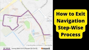What is Exit Navigation? How To Stop?