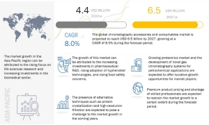 Growth Opportunities in the Chromatography Accessories & Consumables Market