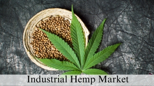 Industrial Hemp Market Size, Analysis and Growth Through 2032