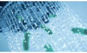 Legionella Testing: Ensuring Water Safety for Public Facilities