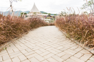 Resin Driveway Midlands: Transforming the Landscape with Durability and Style