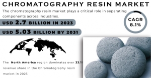 Chromatography Resin Market  Global Trends Forecast Report 2024-2031